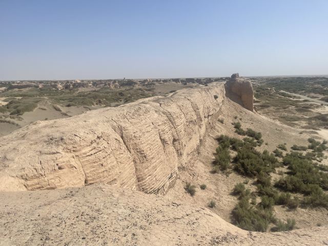 锁阳城遗址旅行图片 4