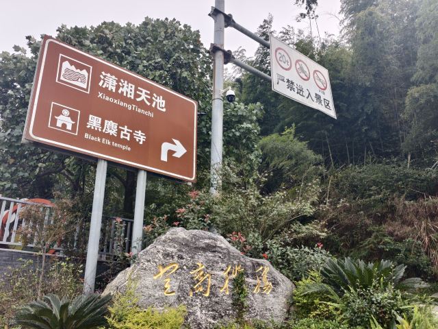 长沙黑麋峰森林公园旅行图片 1