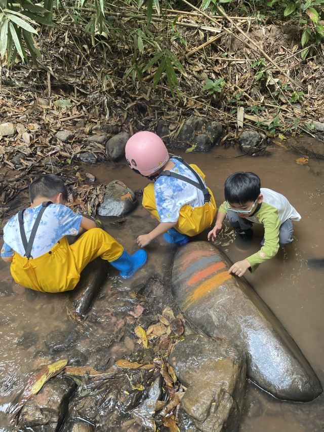 基诺山巴朵村雨林徒步旅行图片 1