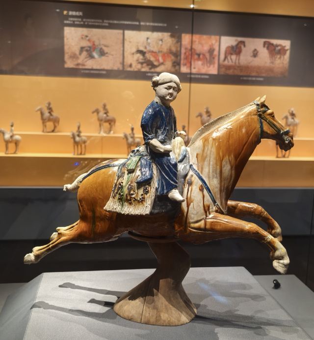 西安博物院旅行图片 8