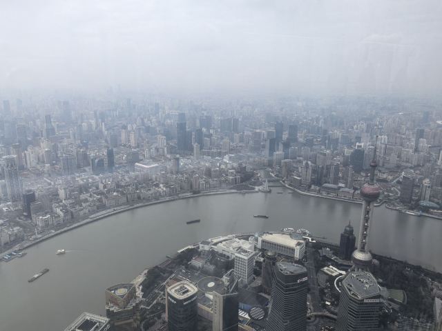 陆家嘴中心绿地旅行图片 5