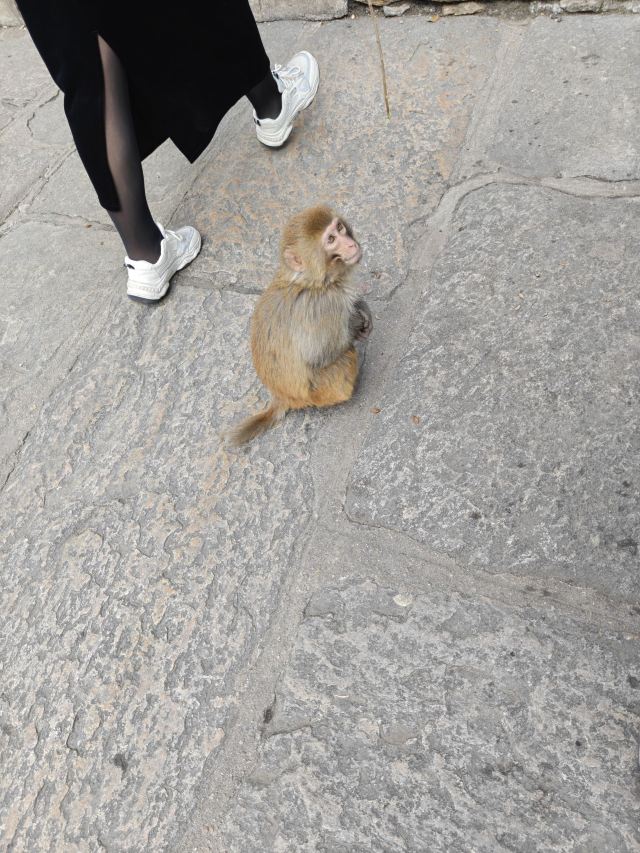 花果山风景区旅行图片 1