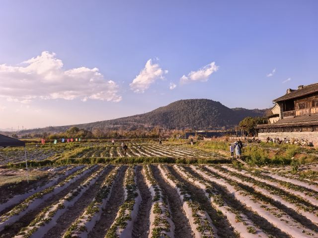 和顺古镇景区旅行图片 6