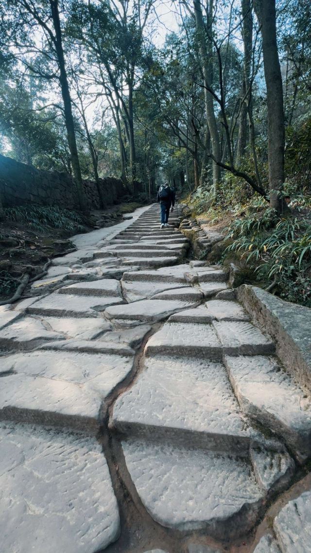 青城山景区旅行图片 1