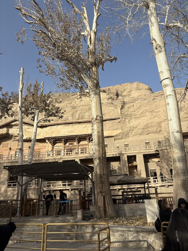 莫高窟景区旅行图片 5
