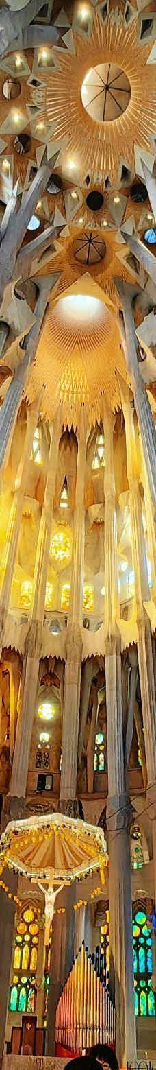 圣家族大教堂-巴塞罗那-一只爱吃肉的猫先森