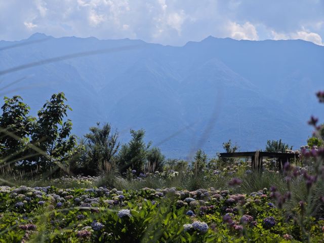 大理水花庄园旅行图片 2