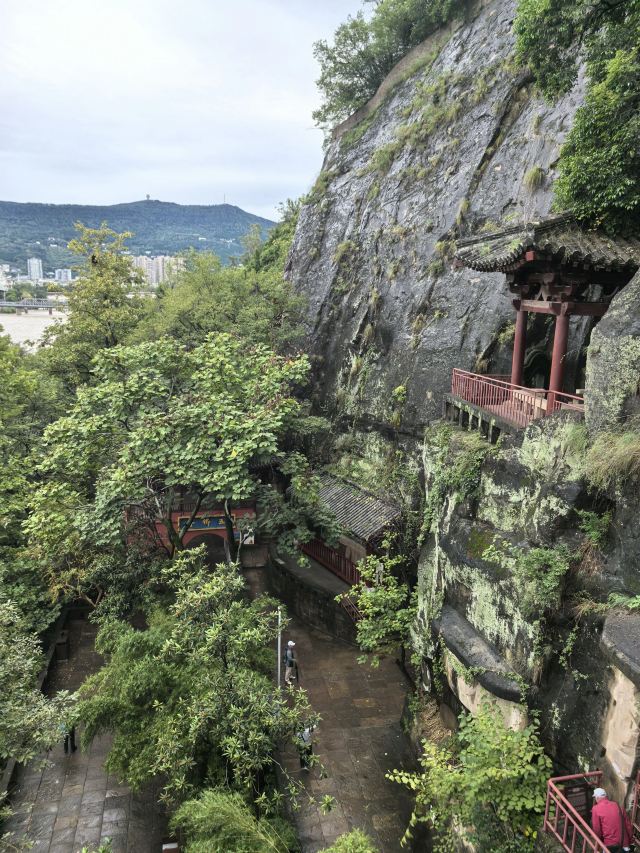 皇泽寺景区旅行图片 6