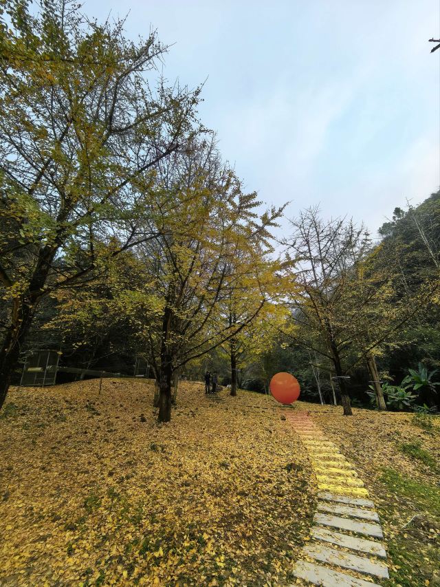 南雄帽子峰旅游景区旅行图片 5