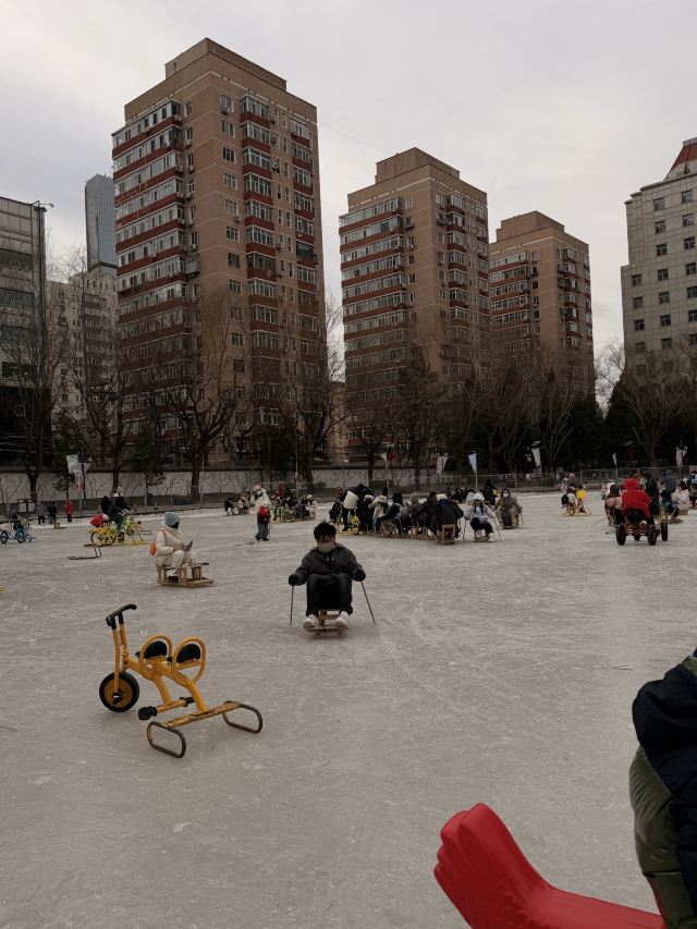团结湖公园旅行图片 5