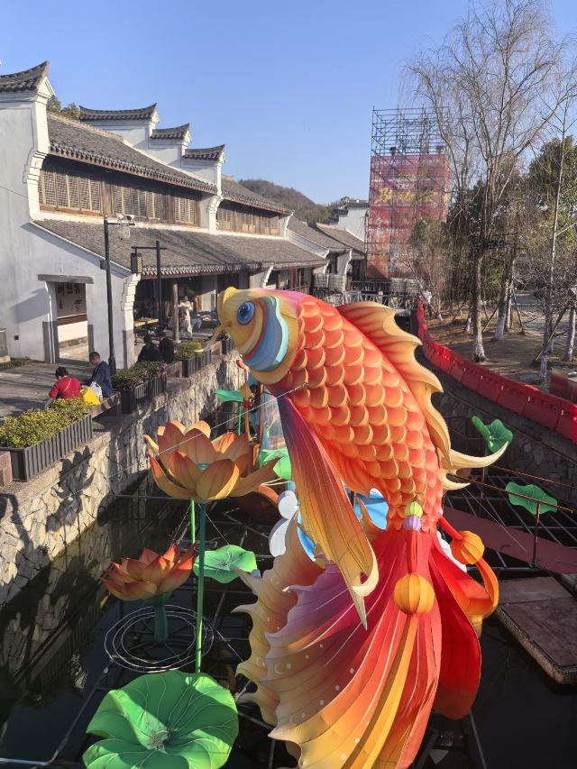 慈城古县城旅行图片 7