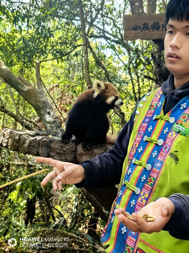 普洱国家公园犀牛坪景区旅行图片 1