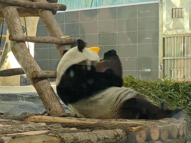 温州动物园旅行图片 3