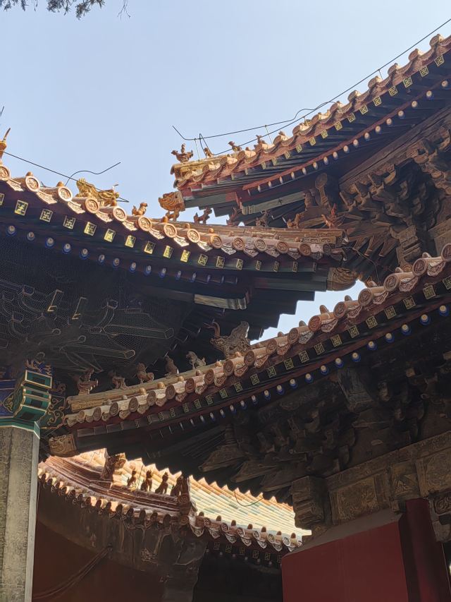 孔庙旅行图片 1