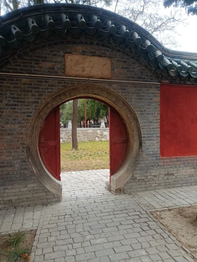 袁林旅行图片 6