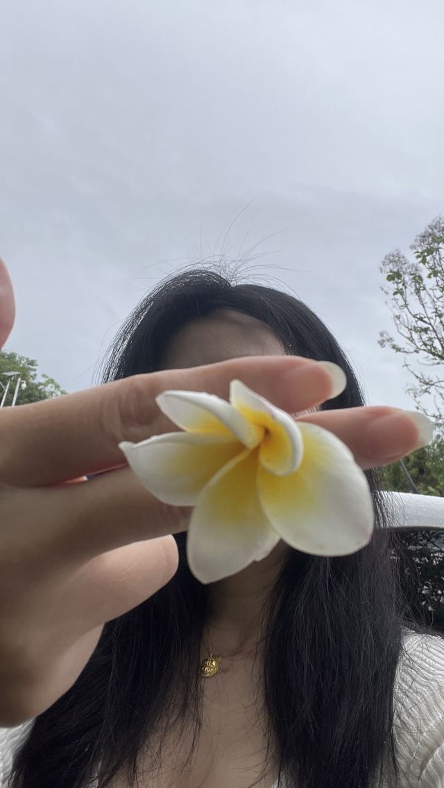 曼听御花园景区旅行图片 4