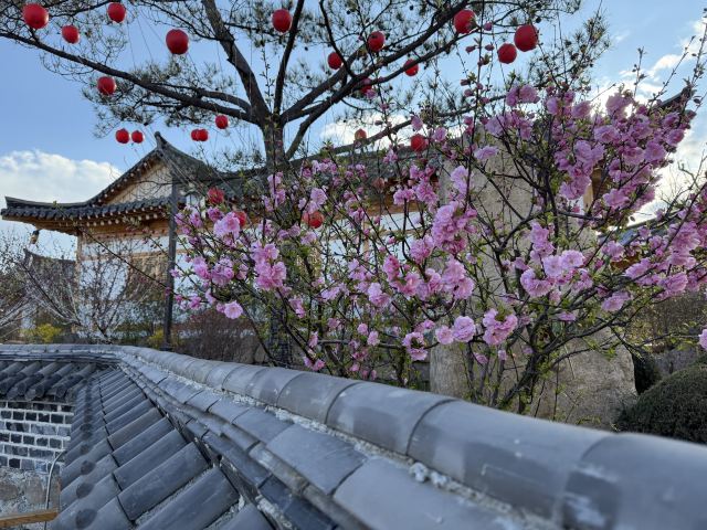 琵岩山温泉古村落旅行图片 2