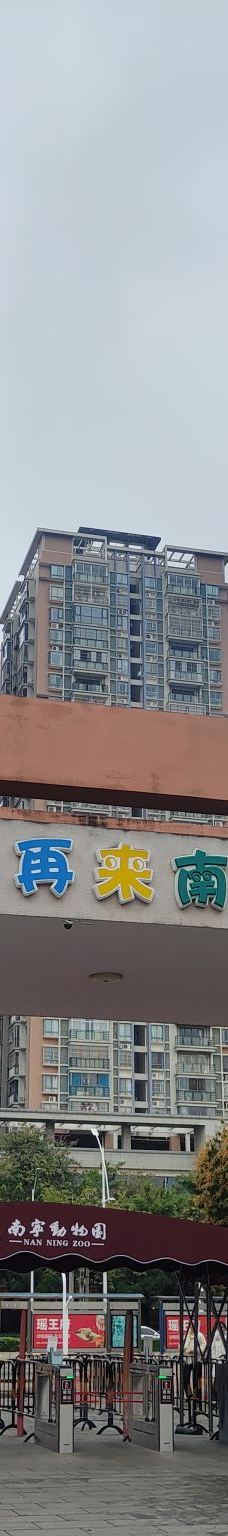 南宁动物园-南宁-爱滚滚