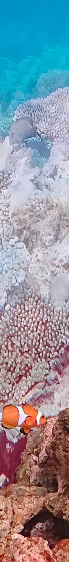 广汉-YoYo_8H2P0J5B