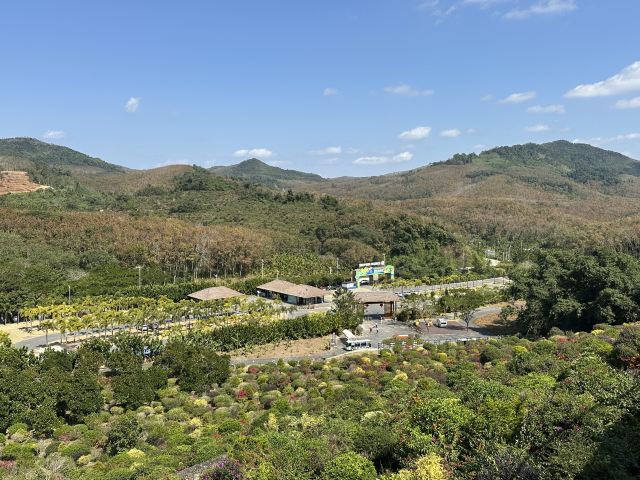 云舍松涛·海南中国村旅行图片 3