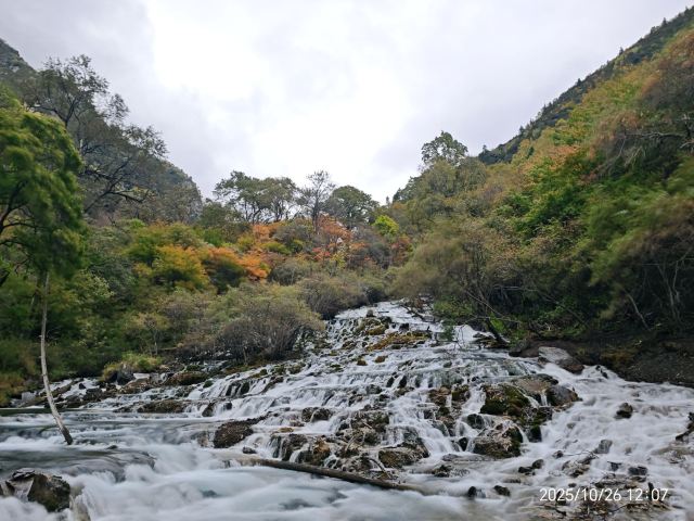 叠溪松坪沟景区旅行图片 5
