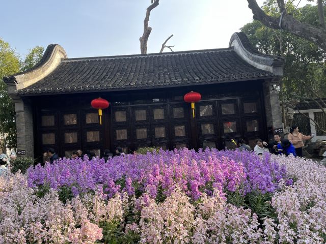 个园旅行图片 1