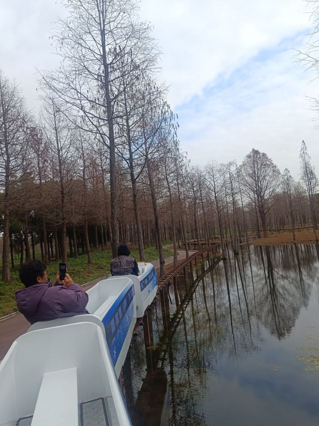 南通洲际梦幻岛旅行图片 3