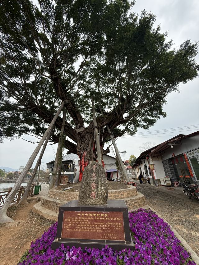 珠玑古巷旅行图片 3