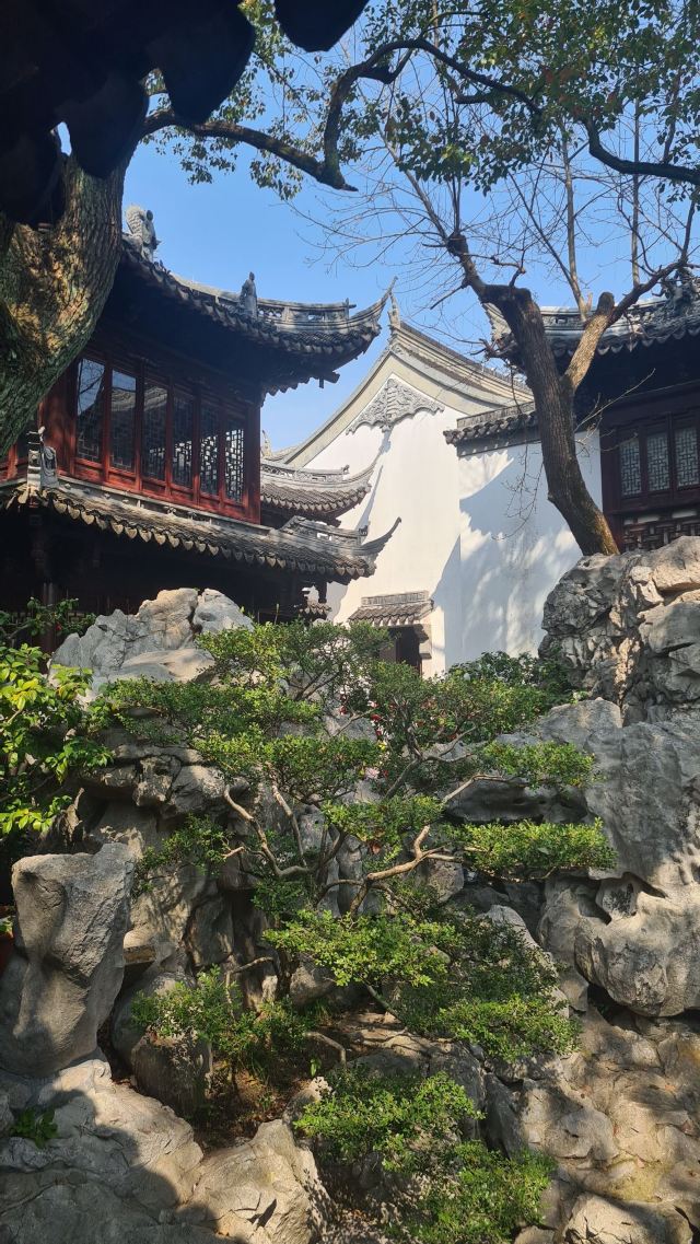 上海豫园旅行图片 2