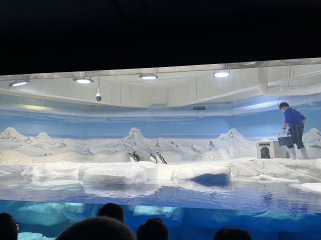 上海海洋水族馆旅行图片 1