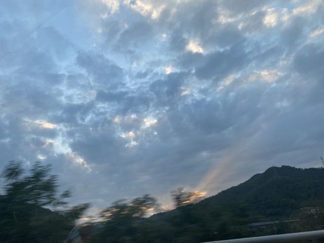 沈阳龙之梦动物科普乐园旅行图片 1