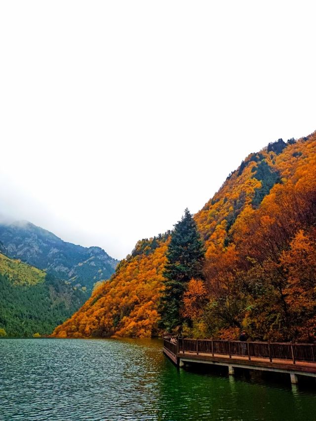 青海互助北山国家森林地质公园浪士当中心景区(暂停开放)旅行图片 1