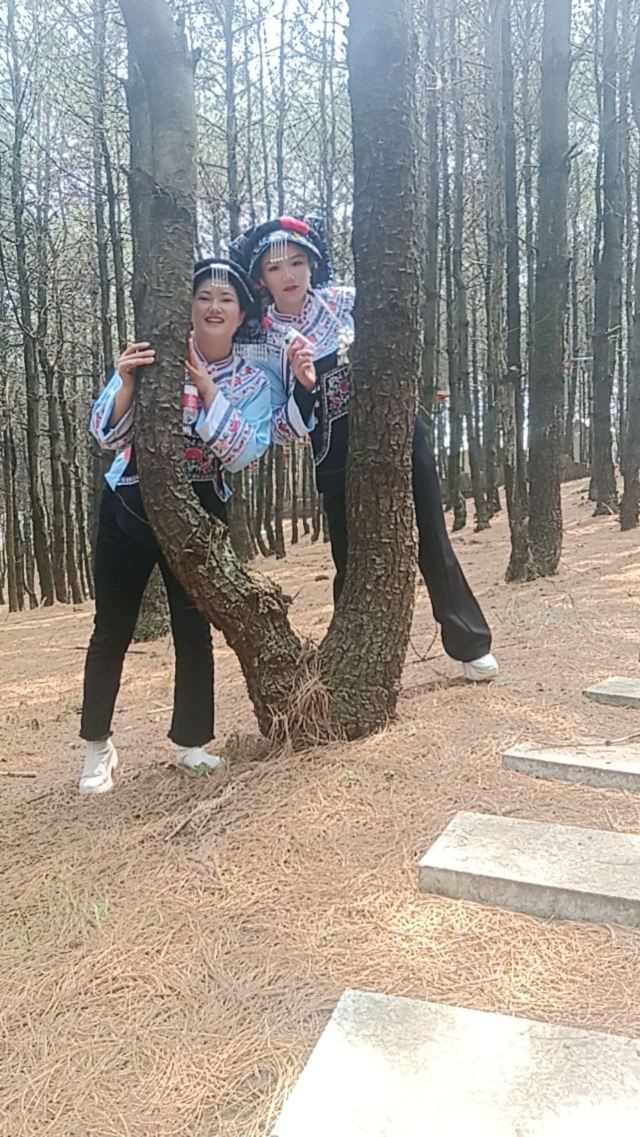水城国家杜鹃公园旅行图片 1