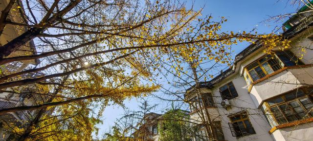 南雄帽子峰旅游景区旅行图片 4