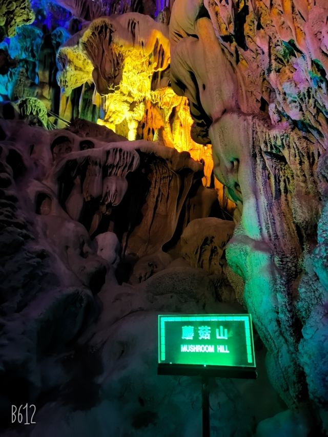 芦笛景区旅行图片 3
