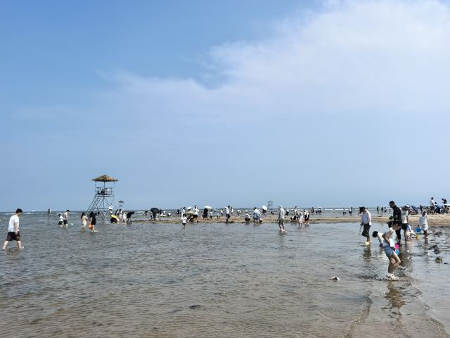 鸽子窝公园旅行图片 1