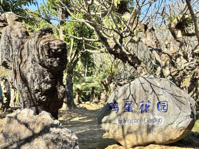 勐巴娜西珍奇园旅行图片 5