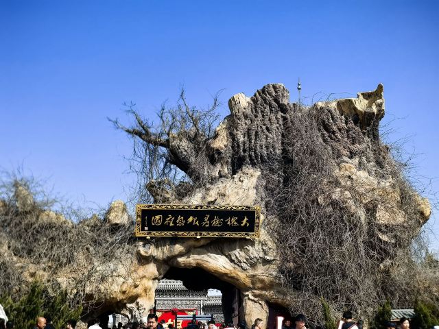 洪洞大槐树寻根祭祖园旅行图片 2