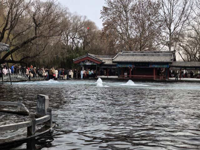 清照泉城·明水古城国际泉水旅游度假区旅行图片 2