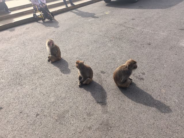 花果山风景区旅行图片 3
