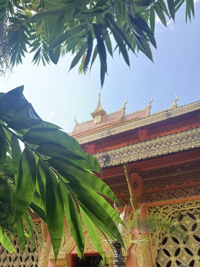 曼听御花园景区旅行图片 2