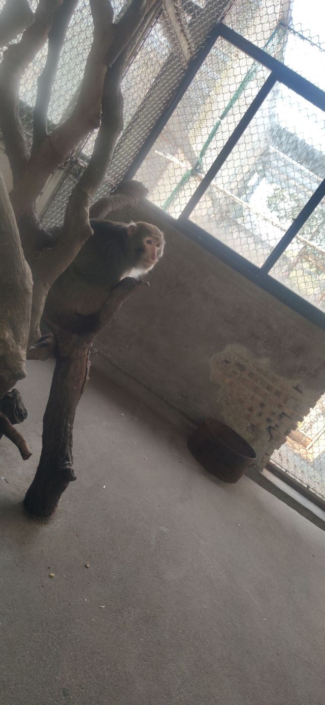 怀化野生动植物园旅行图片 1