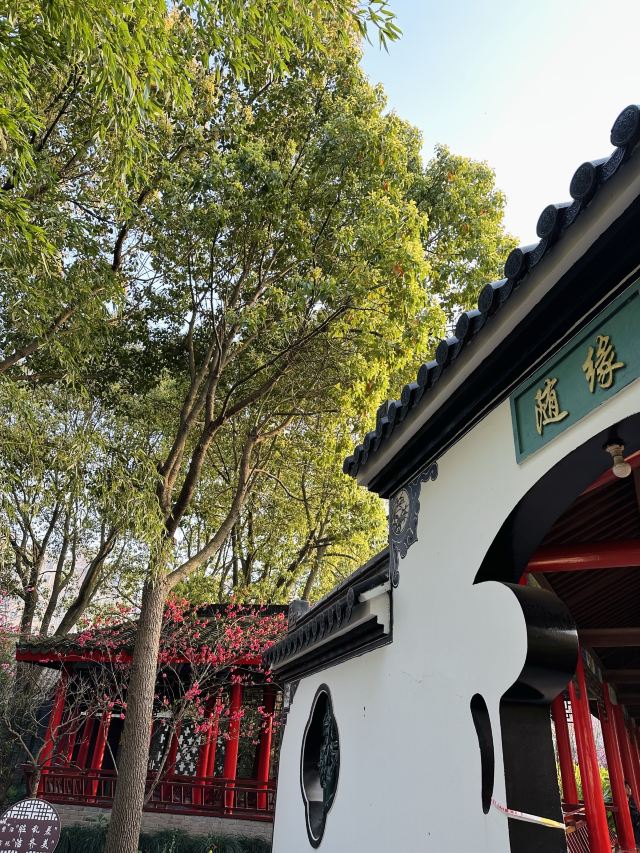 上海南汇桃花村旅行图片 3