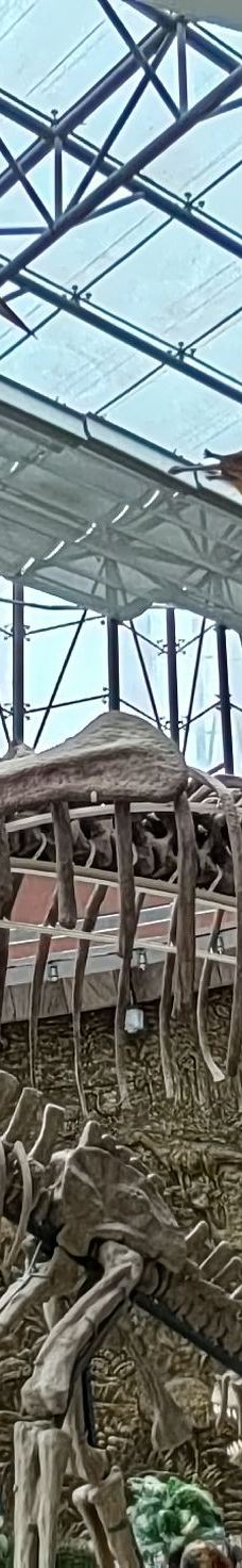 河源恐龙博物馆-河源-SKY-天空之城