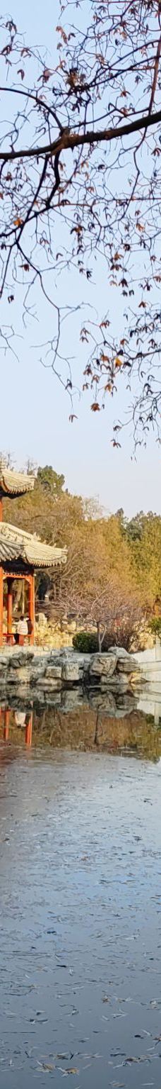 古莲花池-保定-YoYo_8E9U9D6W