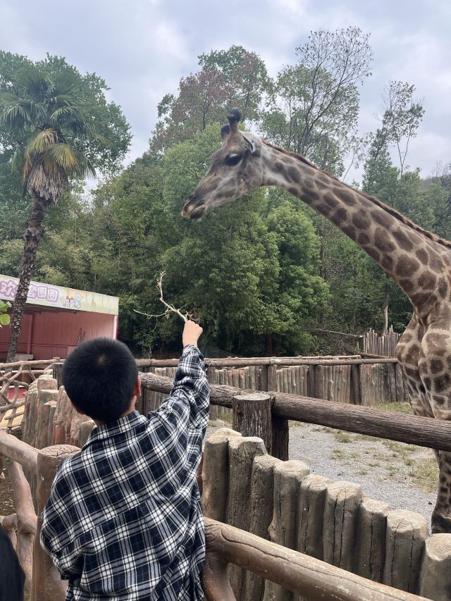 武汉野生动物王国旅行图片 9