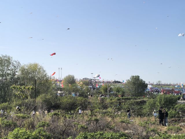 世界风筝公园旅行图片 5