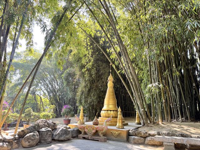 勐巴娜西珍奇园旅行图片 3