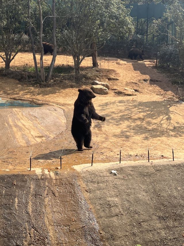 湖南常德野生动物世界旅行图片 3