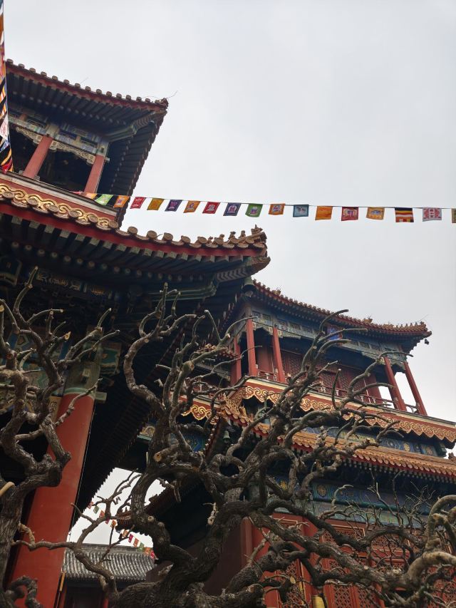雍和宫旅行图片 3